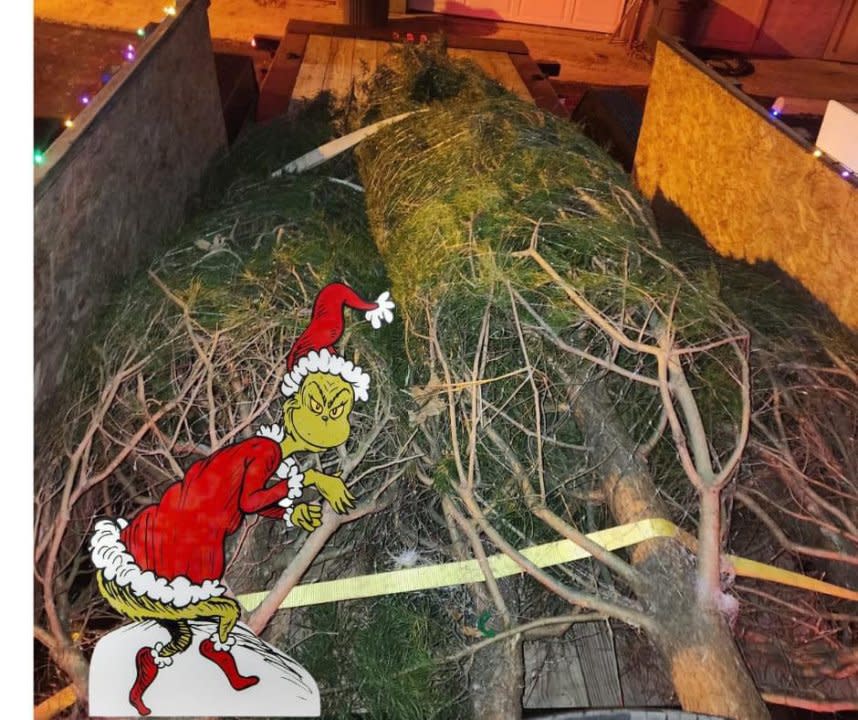 As part of her annual tradition, Mamie the Texas Capitol Christmas Tree traveled down Interstate 35 on Monday, | Courtesy Texas Parks and Wildlife