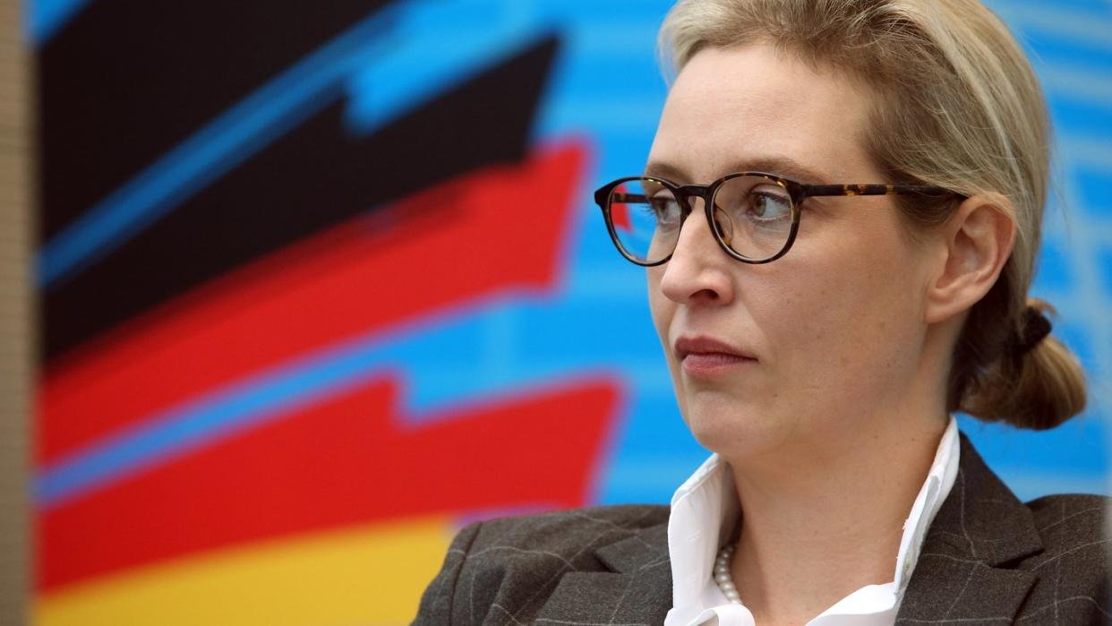 Rund 130 000 Euro in kleinen Teilen, bestimmt für Alice Weidel, kurz vor der Bundestagswahl 2017: Die AfD gerät dubioser Großspenden aus dem Ausland heftig unter Druck. Foto: Wolfgang Kumm