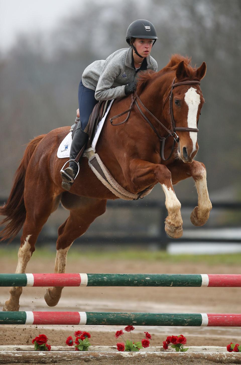 Grace Bieghler, aboard Buddy, clears a jump during Equitation practice for the University of Kentucky Equestrian Team on Monday, November 8, 2022 [Via MerlinFTP Drop]
