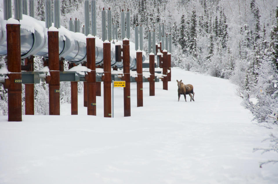 Fairbanks, Alaska > Pct. without health insurance: 12.6% > Pct. food insecure: 10.0% > Obesity rate: 29.0% > 2014 unemployment rate: 5.7%