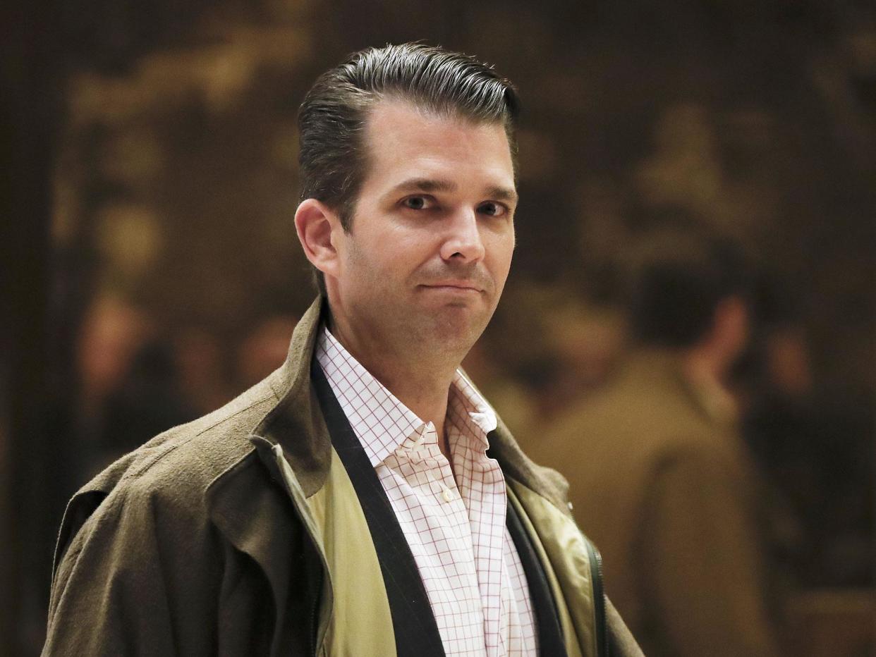 Trump Jr said the testimony 'vindicated' his father: AP