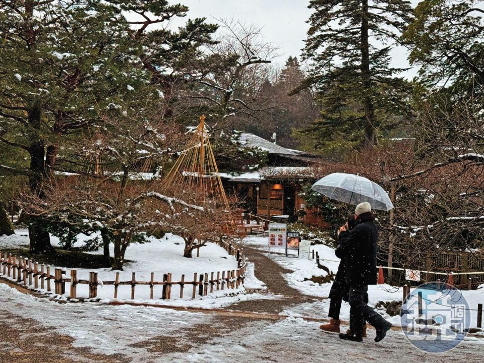 位於石川縣金澤市的兼六園是日本3大名園之一，震災後遊客明顯變少。