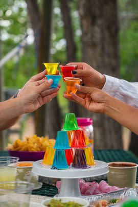 Pre-Made Gelatin Shots