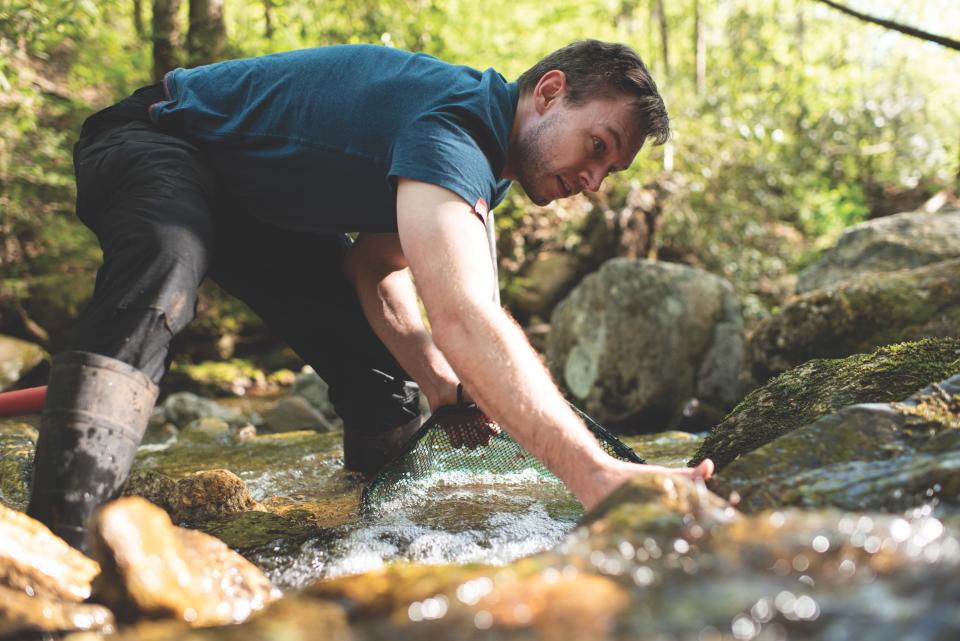 Alex Pyron searches for a salamander in a stream survey as part of his field work as the Robert F. Griggs Associate Professor at George Washington University.