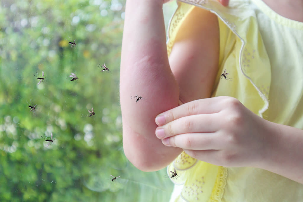 Lorsqu'une piqûres d'insecte nous démange, il est difficile de ne pas se gratter. (Photo : Getty Images)
