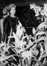 <p>En esta instantánea podemos ver a la reina observando unas orquídeas. "La llegada de la década de 1960 fue recibida en Chelsea con la exposición de orquídeas más grande jamás organizada en el evento. Había 1.500 metros cuadrados de puestos y exposiciones de orquídeas", relata rhs.org.uk. (Foto: PA Images / Getty Images)</p> 