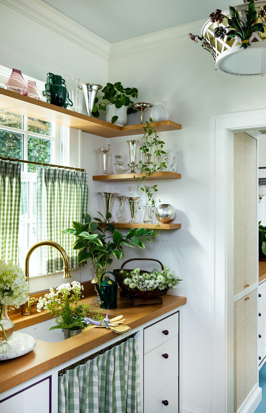 a kitchen with a counter and shelves with plants on it