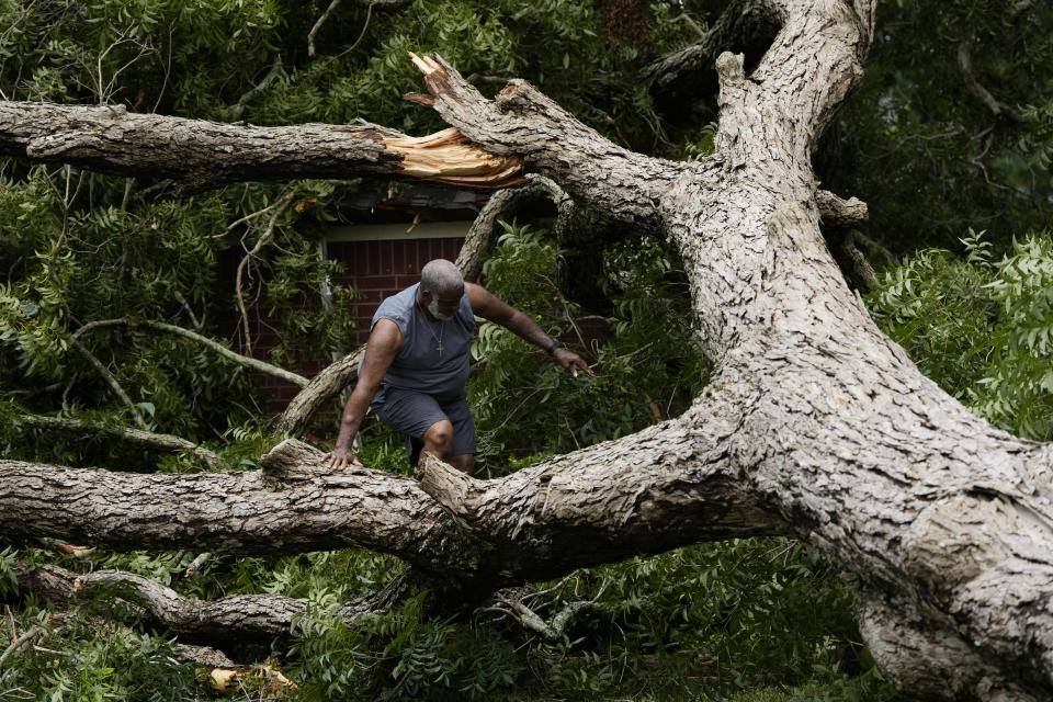 Hook Jefferson assesses damages after a tree fell on his neighbor's home after Hurricane Beryl hit the Texas coast, Monday, July 8, 2024, in Bay City, Texas. (AP Photo/Eric Gay)
