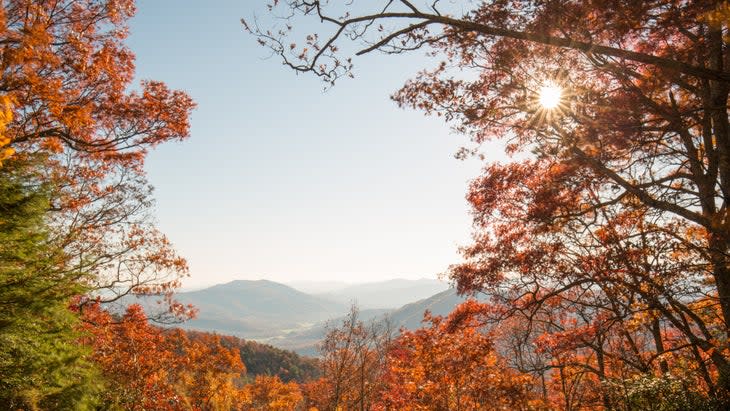 Linville Gorge Wilderness North Carolina