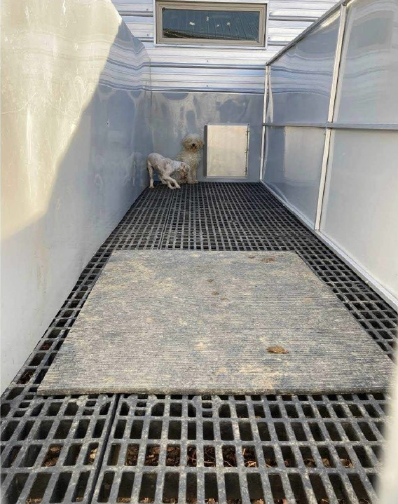 Ohio puppy mill featured in The Horrible Hundred Report (Photo Courtesy/Ohio Department of Agriculture).