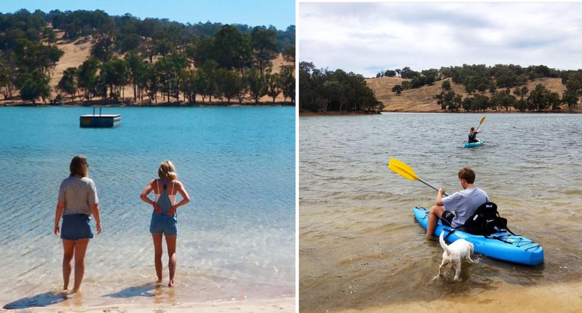 Stunned swimmers: Electrofishing survey helps gauge health of Logan River, Allaccess