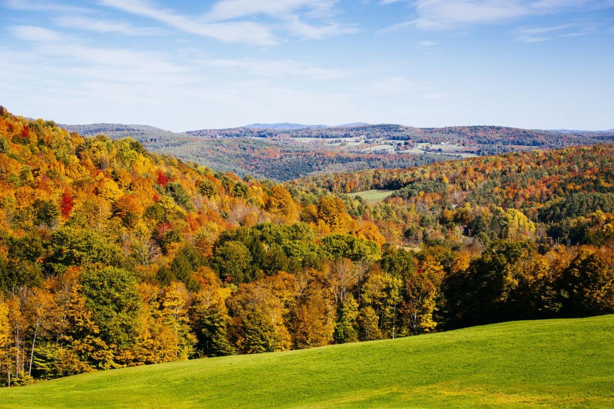 vermont pastures with foliage