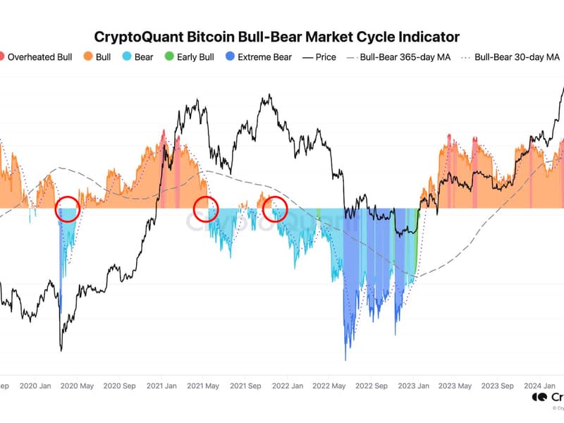 Bull-bear market cycle indicator (CryptoQuant