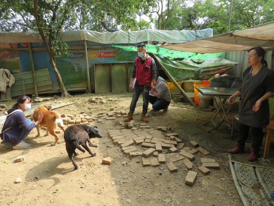 民間動物收容所採半開放式圈養，並非籠飼，讓毛寶貝有更大活動空間。    圖：新北市動保處提供