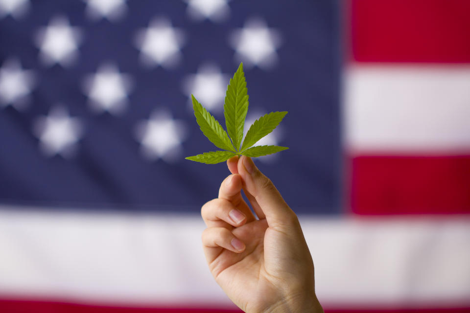 The clemency from Trump comes as more states are legalizing marijuana. Image:  Getty