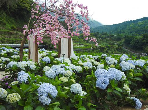 大梯田（圖／翻攝自北市府官網）