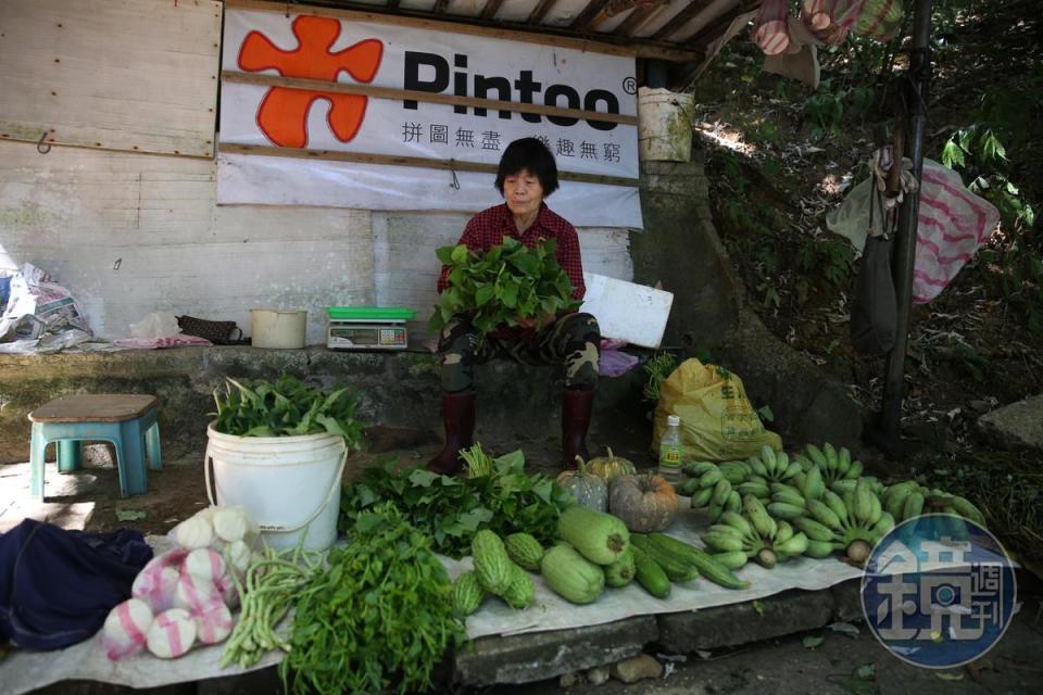 步道間有當地人將自家種植的菜和水果擺攤販售。