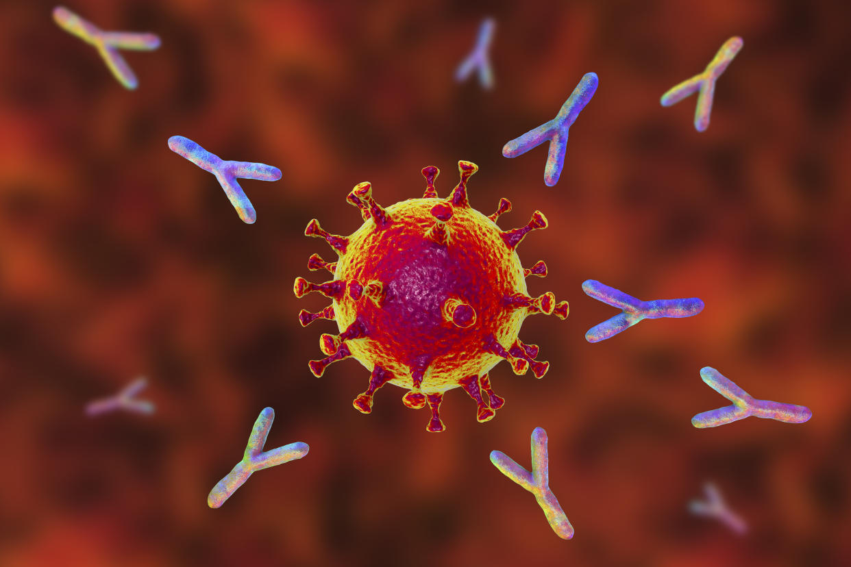 Antibodies attacking SARS-CoV-2 virus, the conceptual 3D illustration for COVID-19 treatment, diagnosis and prevention