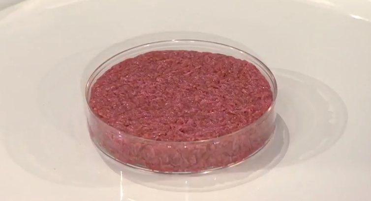 <span class="caption">The world’s first cultured hamburger, ready to be fried on August 5 2013.</span> <span class="attribution"><a class="link " href="https://en.wikipedia.org/wiki/Cultured_meat#/media/File:First_cultured_hamburger_unbaked.png" rel="nofollow noopener" target="_blank" data-ylk="slk:World Economic Forum/Wikipedia;elm:context_link;itc:0;sec:content-canvas">World Economic Forum/Wikipedia</a>, <a class="link " href="http://creativecommons.org/licenses/by/4.0/" rel="nofollow noopener" target="_blank" data-ylk="slk:CC BY;elm:context_link;itc:0;sec:content-canvas">CC BY</a></span>