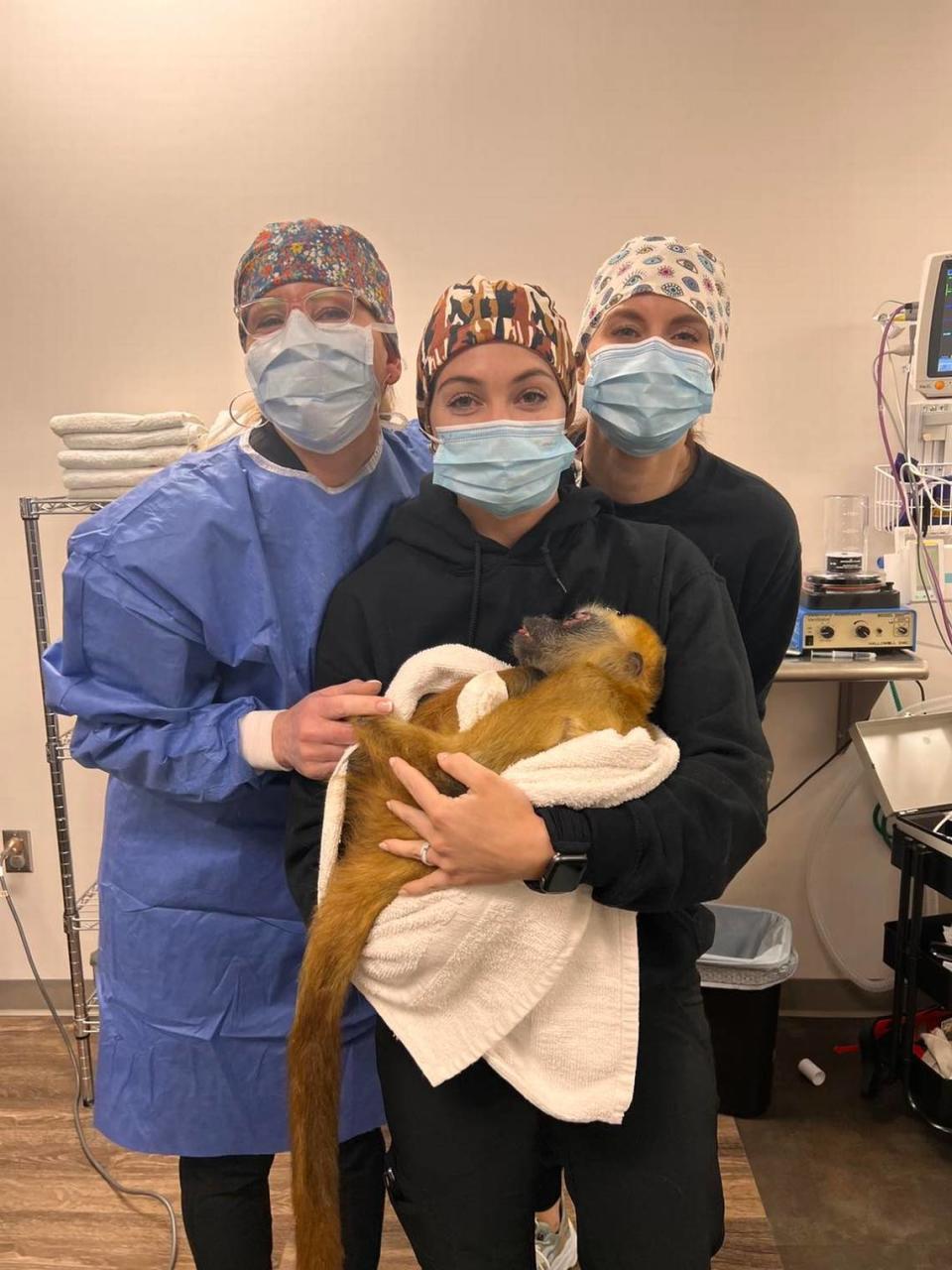 Dr. Jana Korsch-Dismukes and staff at the Veterinary Orthopedic and Vision Center in Hoover, Alabama, hold Kiki after his corrective vision surgery. Wild Acres had searched for two years for someone to perform the surgery.