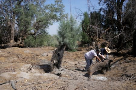 Mexican families dig for disappeared relatives