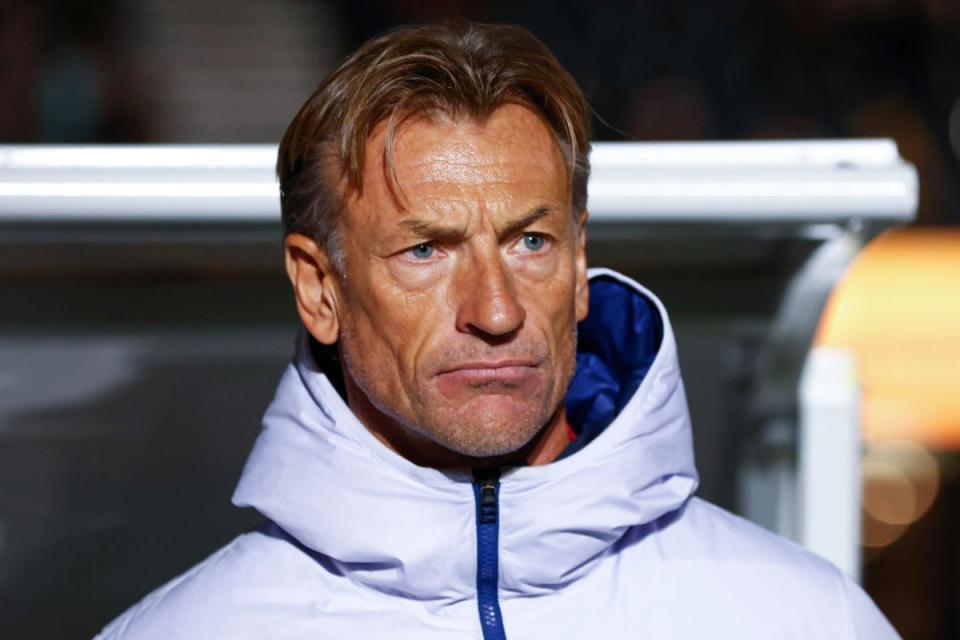 Herve Renard stepped in after Corrine Diacre was sacked (Getty Images)
