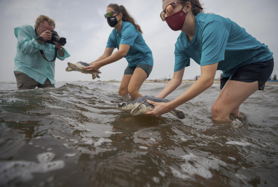 Audubon's Coastal Wildlife Network Rescue, and Rehab Coordinator Gabriella Harlamert, foreground, and co-worker Nicole Kieda, release two Kemp's Ridley sea turtle into the Gulf of Mexico from the Grand Isle, La. beach Monday, March 15, 2021. Audubon's Coastal Wildlife Network rehabilitated 19 cold-stunned Kemp's Ridley sea turtles after a deep arctic airmass along the New England coast in November 2020 threatened to kill the turtles. (David Grunfeld/The Advocate via AP)