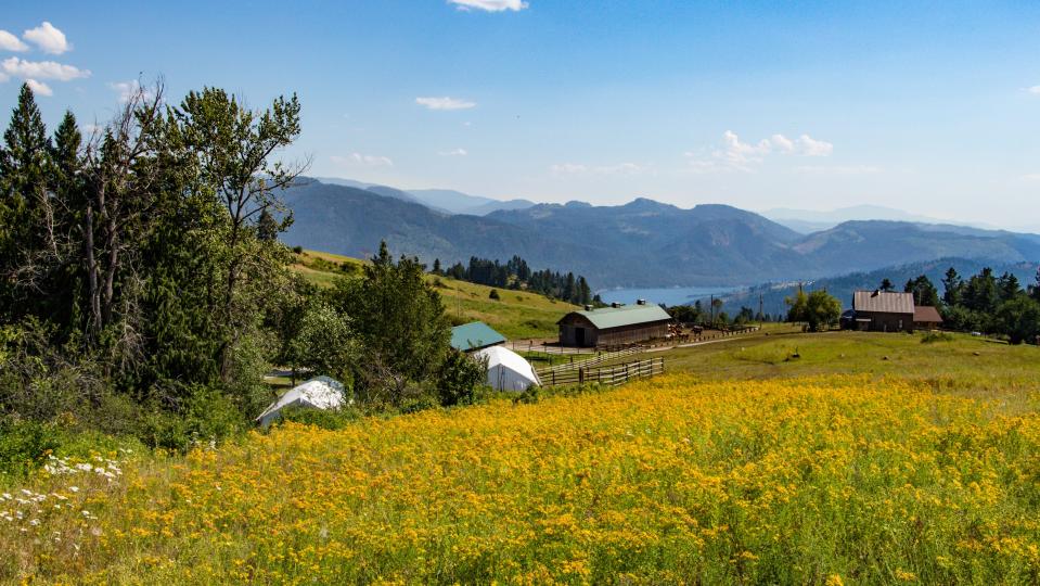 Live out your "City Slickers" fantasy at Bull Hill Ranch, where you can take part in a real-life cattle drive while overnighting in cabins or glamping tents