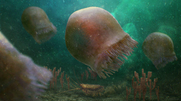 Life reconstruction showing a cluster of Burgessomedusa phasmiformis gen. et sp. nov. swimming above the benthos. This reconstruction is based on the Raymond Quarry Burgess Shale community with clusters of Vauxia sponges represented in the foreground / Credit: Proceedings of the Royal Society/Christian McCall