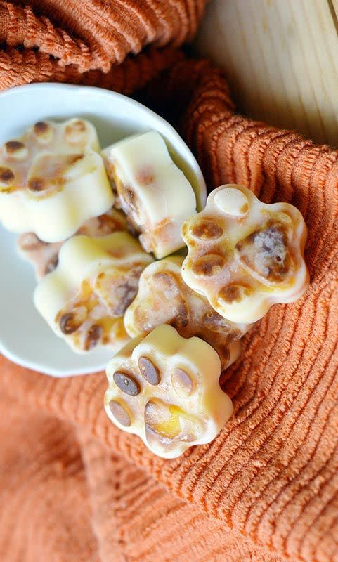 homemade dog treats, sunny day family, no bake pumpkin dog treats