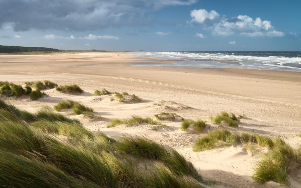 Holkham National Nature Reserve on the Norfolk coast