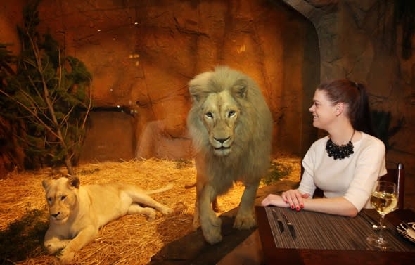 Lunch with lions and bedrooms with bears: Introducing the new zoo hotel