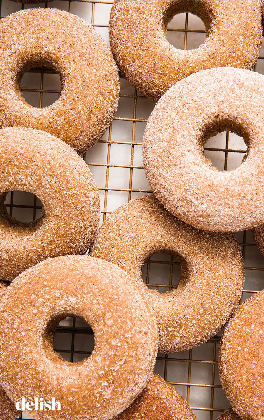 Cinnamon Sugar Vegan Donuts