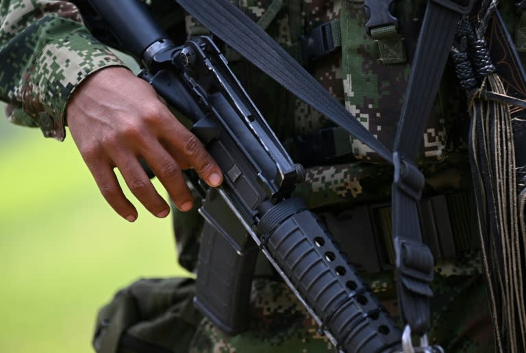 A member of a faction of the EMC, the main dissident group which broke away from FARC, patrols next to coca crops in one of their strongholds (Raul ARBOLEDA)