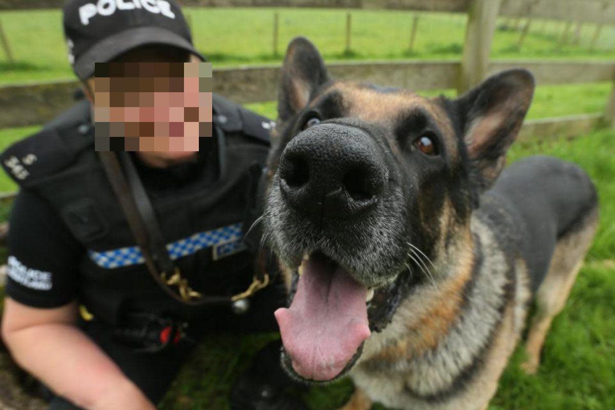 Police officer and dog <i>(Image: Archive)</i>