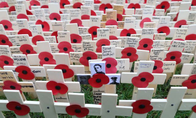 Remembrance crosses in the Westminster Abbey Field of Remembrance