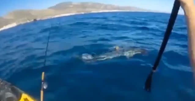 The 33-year-old construction worker told NBC he was fishing near Santa Barbara when the 'super aggressive' shark began circling. Photo: Mark McCracken