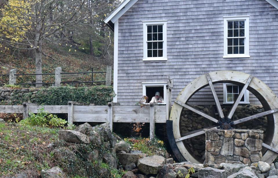 Scott Leonhardt uses a net on Thursday to clear away fallen leaves in the waterway at the Stony Brook Grist Mill in Brewster which was getting ready for a holiday corn meal sale on Saturday.