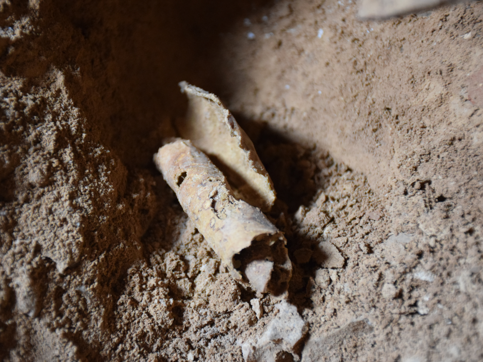 dead sea scrolls new discovery