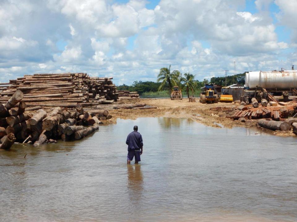 Access to log storage at Sepik River, where logs are loaded on barges carrying them to ships anchored in the Sepik River mouth (Global Witness)