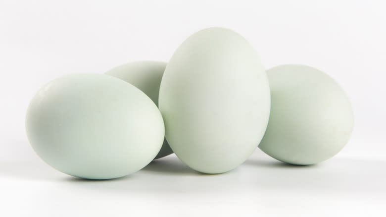 duck eggs on white background