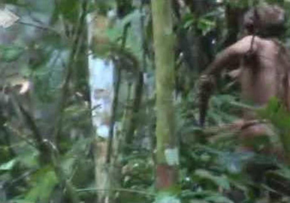 Footage shows the man cutting down a tree (Funai)