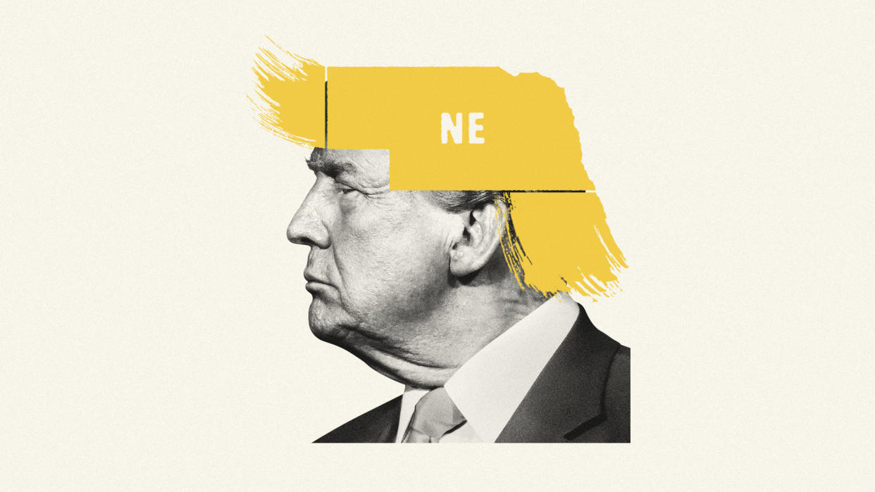  Donald Trump with Nebraska state shape covering his hair. 