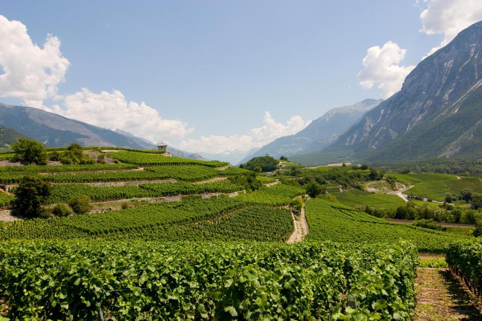 Valais is known as the 'California of Switzerland' - Getty