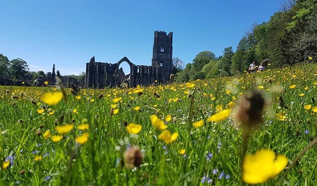 4) Fountains Abbey and Studley Royal Water Garden, North Yorkshire