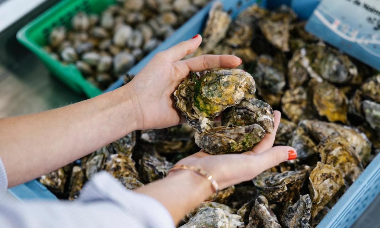 <span>Oysters at a market in Noirmoutier.</span><span>Photograph: Trendzromain Kersulec</span>