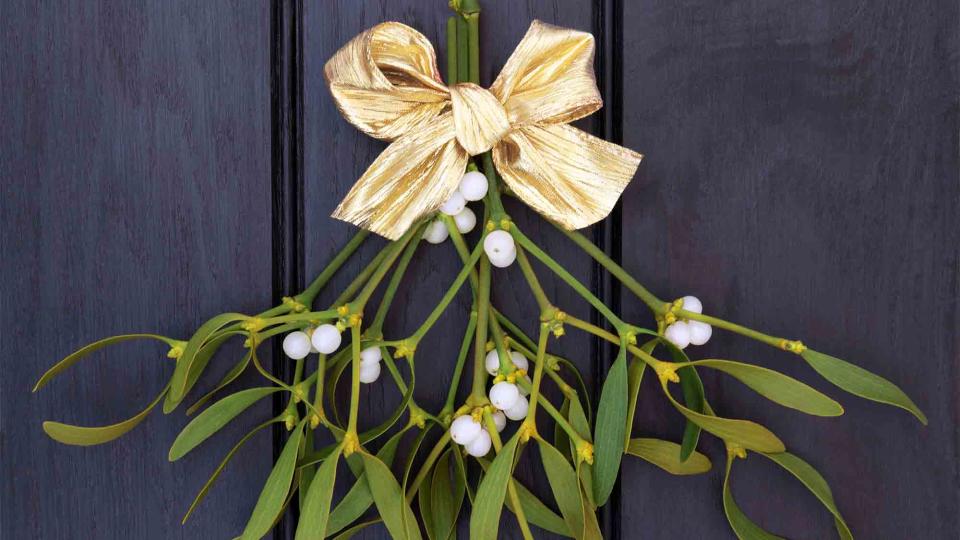 Mistletoe can be deadly if you eat it. (But a kiss can be even deadlier if you mean it.)