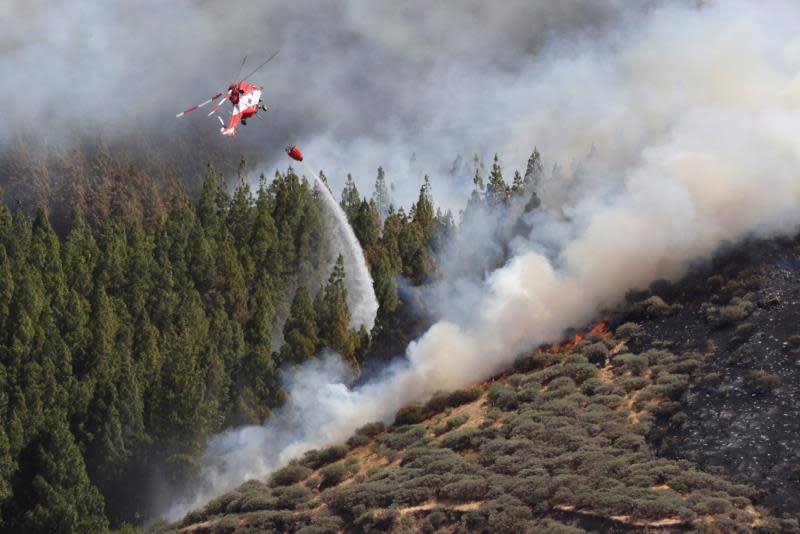 Un helicóptero en el incendio declarado este sábado en la zona de Artenara en el oeste de la isla de Gran Canaria. EFE/Elvira Urquijo A.