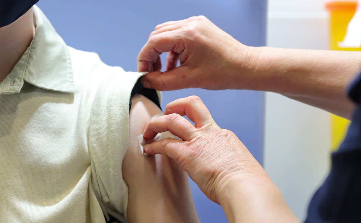 A person receives a vaccine (File picture)  (PA Wire)