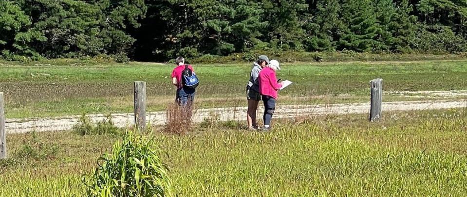 Sometime in early 2024, Marion Institute Southcoast Food Policy Council members expect their new farm program, Frogfoot Farm - Neighbors Feeding Neighbors, will begin its work supplying fresh produce to local food pantries. In this photo, people are seen looking for wildlife at the farm, located near the Wareham/Plymouth line, during a September event.